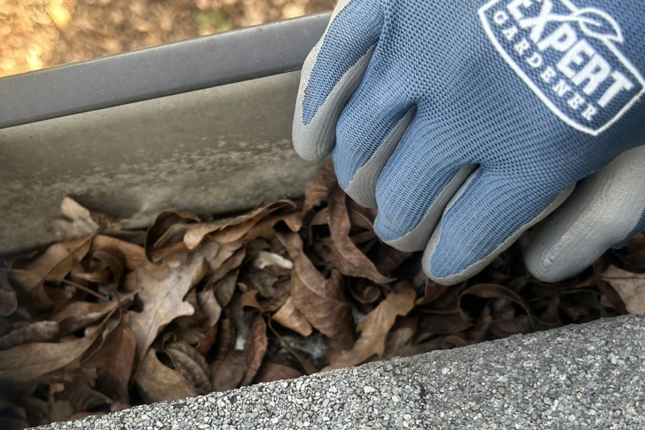 Gutter Cleaning Brighton