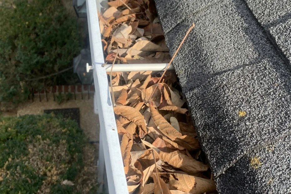 Gutter Cleaning Brighton